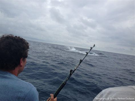 game fishing sydney|Game Fishing Sydney .